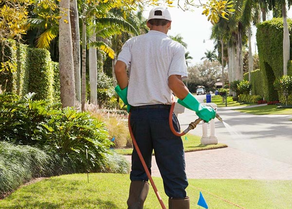 About Thelma KY Pest Control